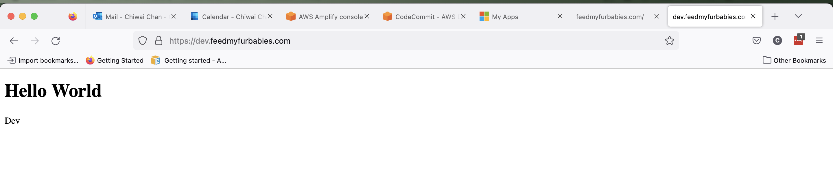 Amplify - Hosted Environment - Dev