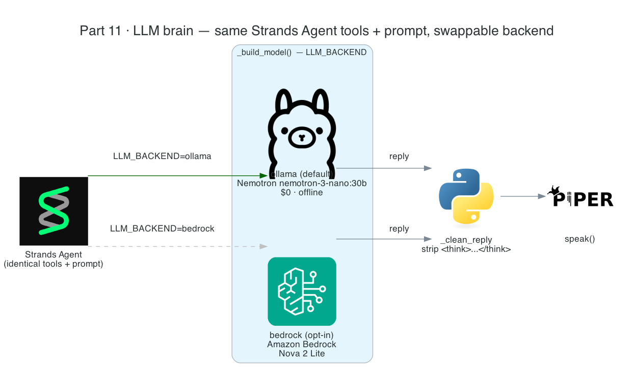 Strands Agent with a swappable LLM backend: local Nemotron on Ollama by default, Amazon Bedrock opt-in