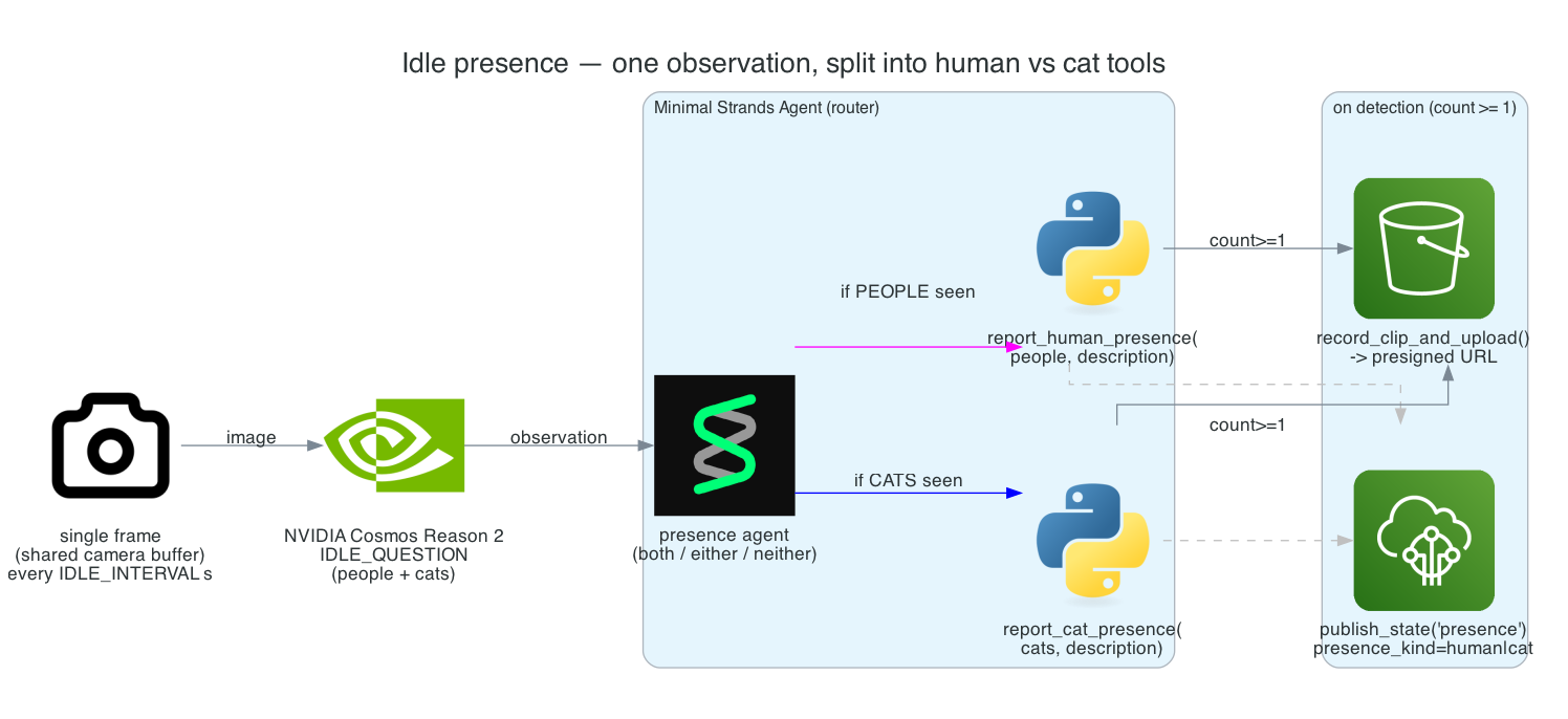 Idle presence watcher: a single frame goes to Cosmos Reason 2, and a minimal agent routes the observation to report_human_presence and report_cat_presence