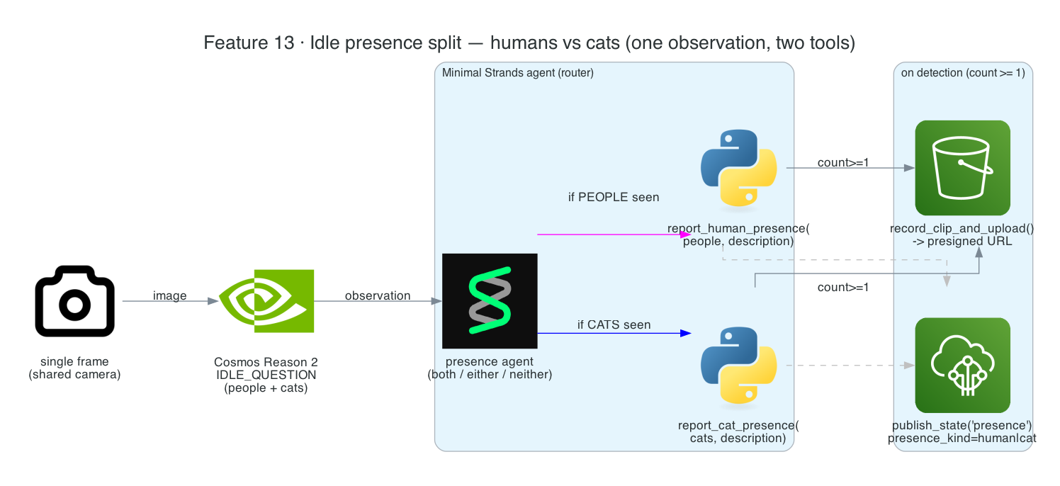 Presence split — one observation routed to species-specific human and cat tools